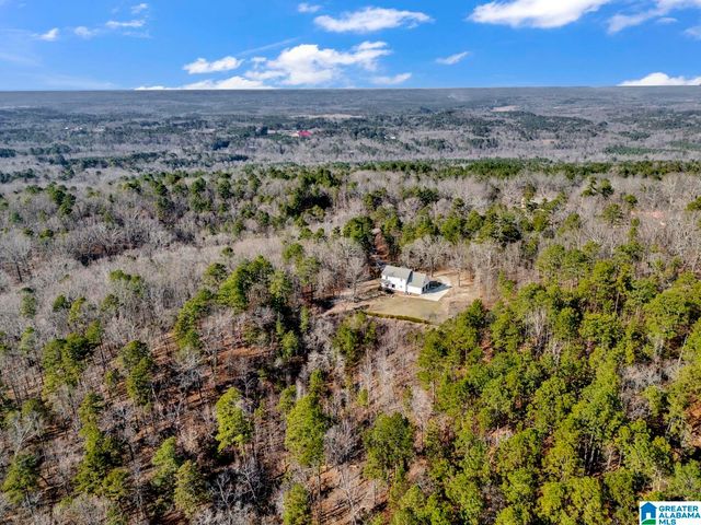 1002 LONG LEAF TRAIL, Warrior, AL 35180