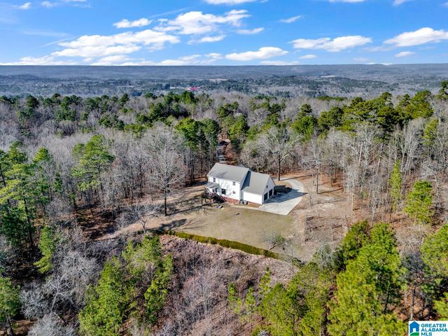 1002 LONG LEAF TRAIL, Warrior, AL 35180