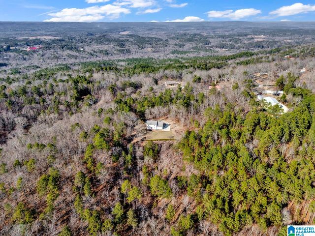 1002 LONG LEAF TRAIL, Warrior, AL 35180