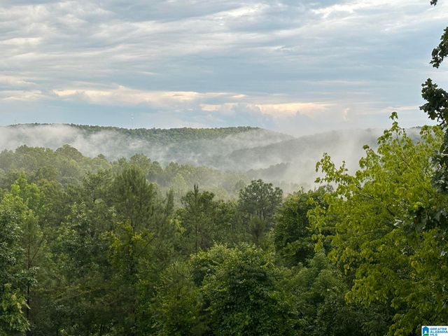 1002 LONG LEAF TRAIL, Warrior, AL 35180