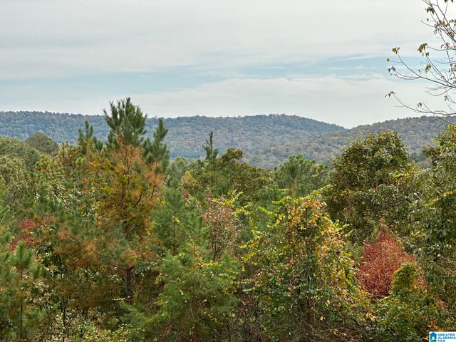 1002 LONG LEAF TRAIL, Warrior, AL 35180