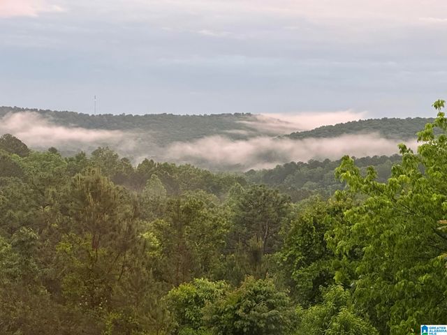 1002 LONG LEAF TRAIL, Warrior, AL 35180