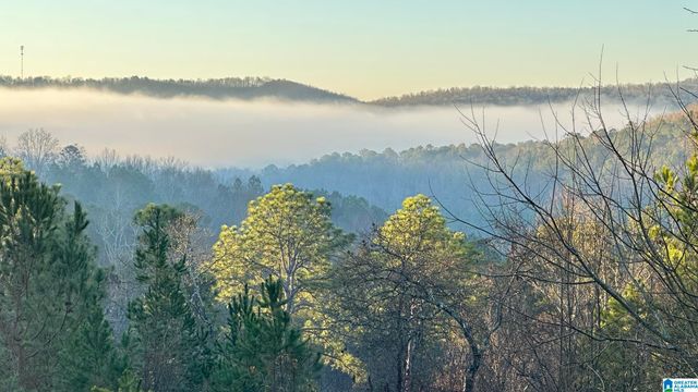 1002 LONG LEAF TRAIL, Warrior, AL 35180