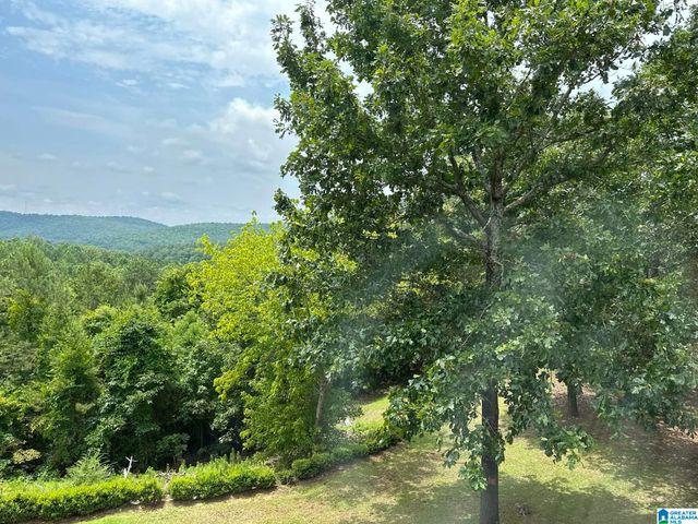 1002 LONG LEAF TRAIL, Warrior, AL 35180