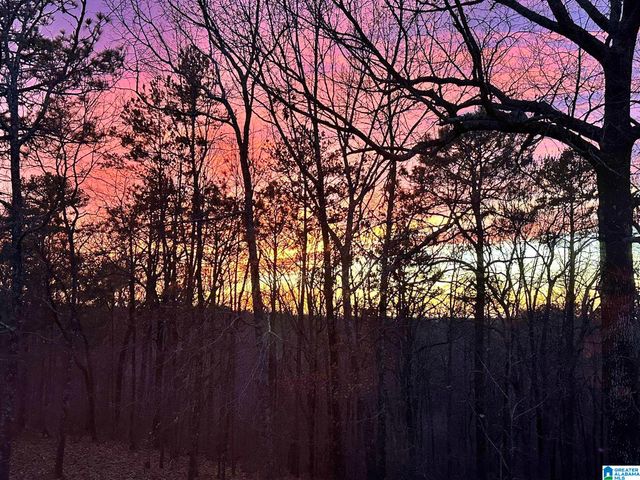 1002 LONG LEAF TRAIL, Warrior, AL 35180