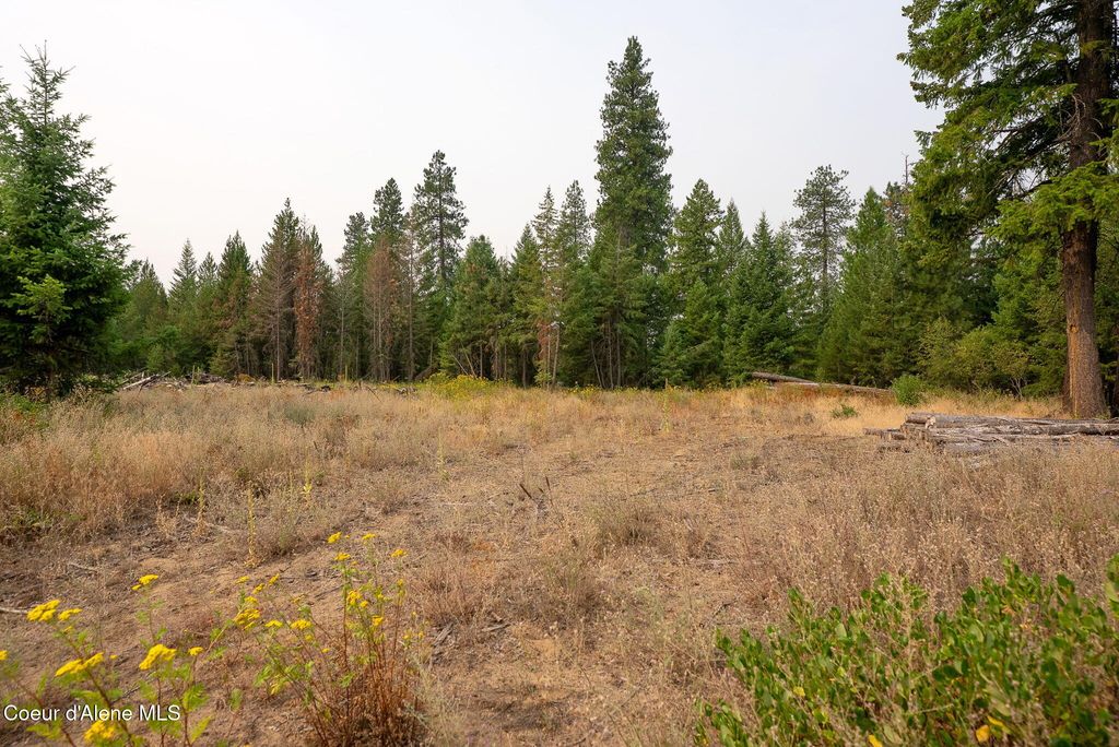 NKA Sandy Ridge Road, Naples, ID 83847 photo 2