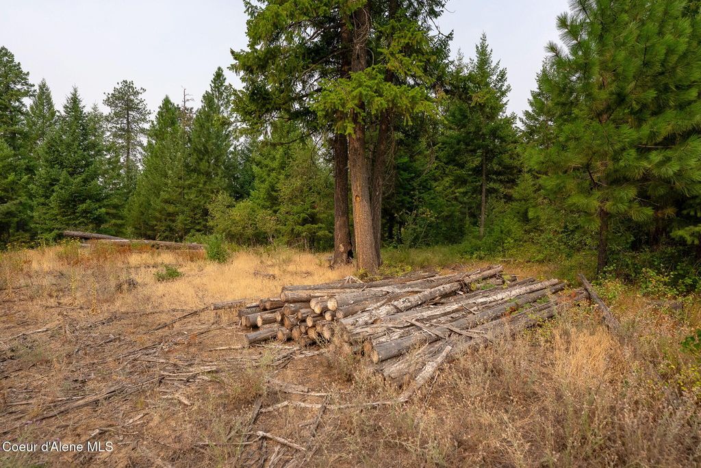 NKA Sandy Ridge Road, Naples, ID 83847 photo 3