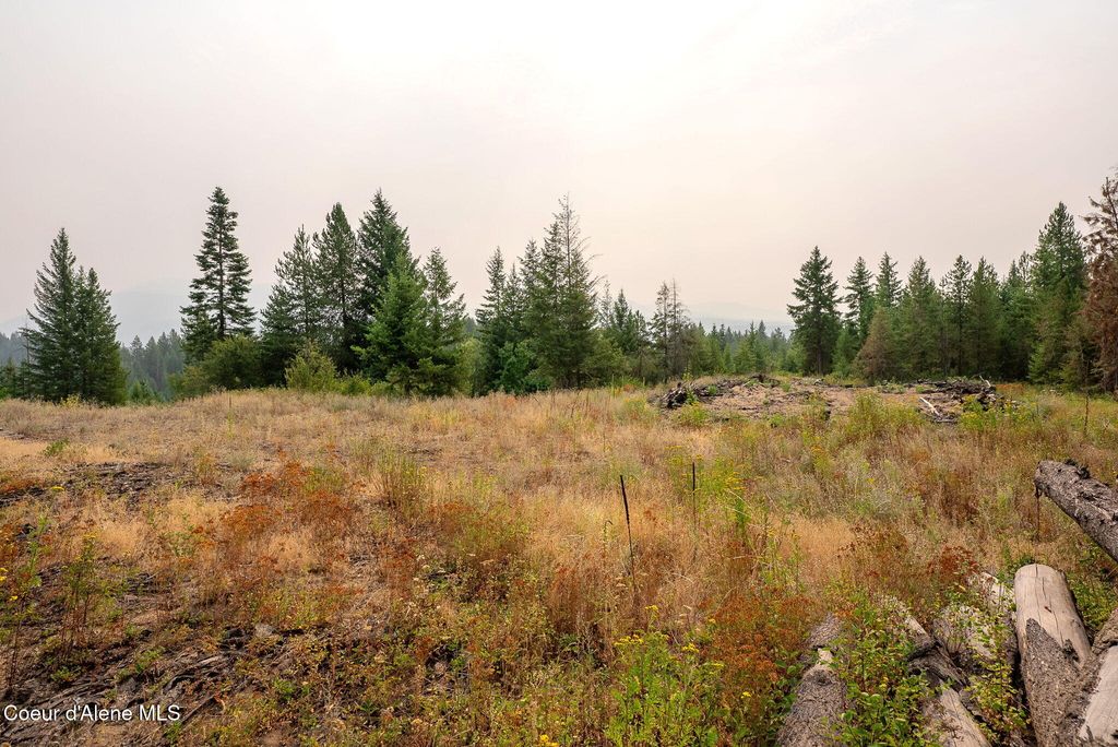 NKA Sandy Ridge Road, Naples, ID 83847 photo 4