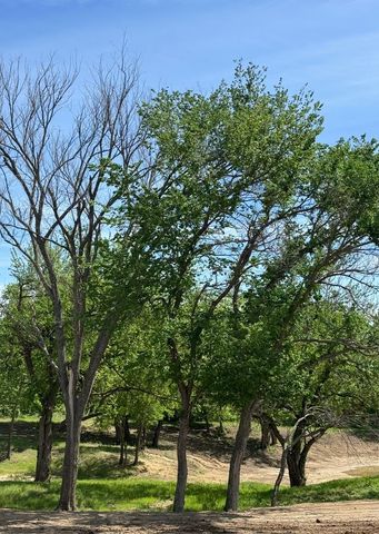 1318 Johnson Bend 1, Weatherford, TX 76088