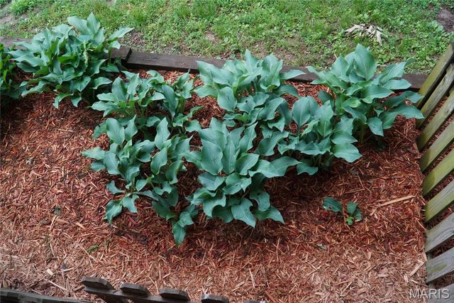 31514 Old Highway 5, Lebanon, MO 65536