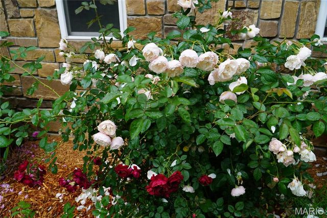 31514 Old Highway 5, Lebanon, MO 65536