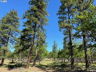 D PINE Rd 3, Goldendale, WA 98620