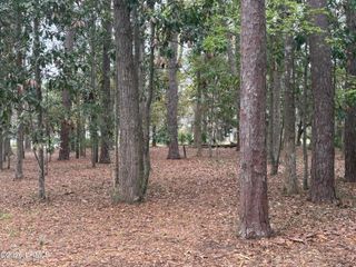 417 Battery Chase, Beaufort, SC 29902