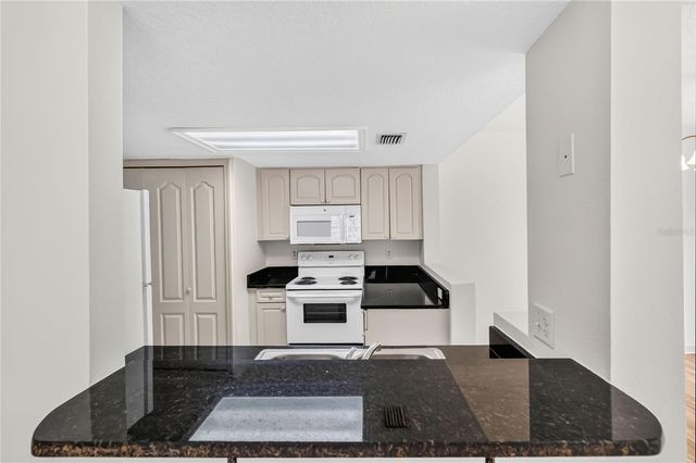 2204 FAN PALM DRIVE, Davenport, FL 33897