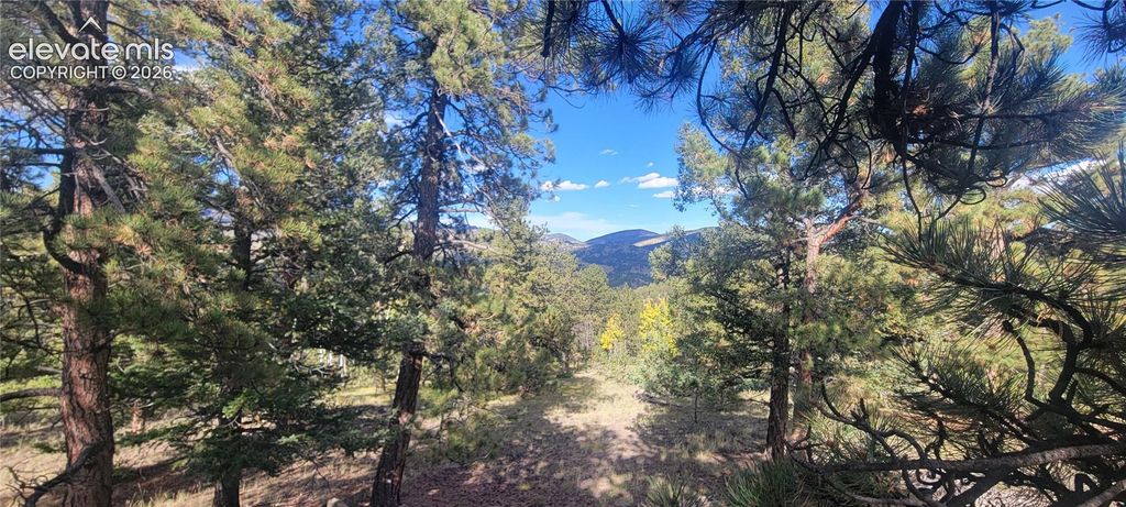 505 Buck Drive, Guffey, CO 80820 — exterior