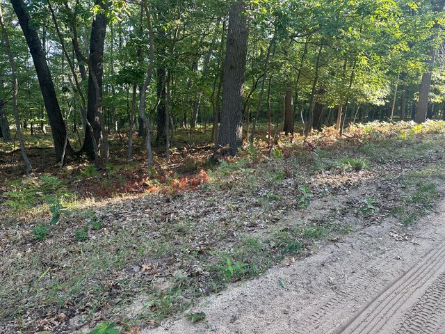 10022 S Rebecca Road, Baldwin, MI 49304