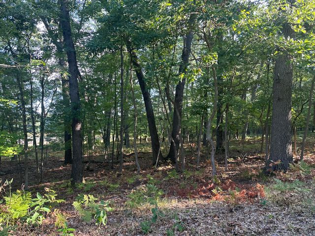 10022 S Rebecca Road, Baldwin, MI 49304