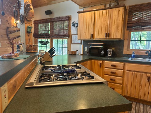 10022 S Rebecca Road, Baldwin, MI 49304
