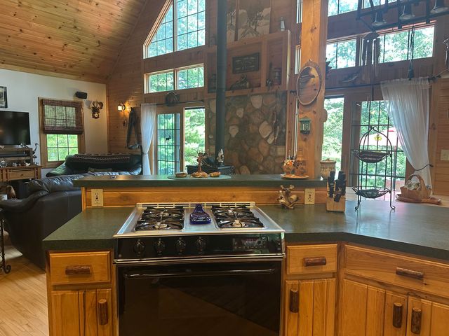 10022 S Rebecca Road, Baldwin, MI 49304
