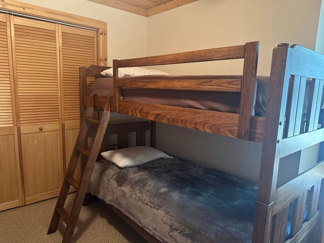 10022 S Rebecca Road, Baldwin, MI 49304