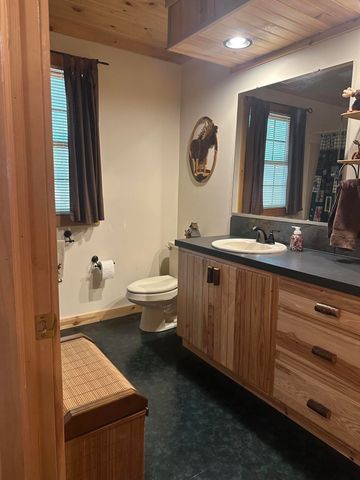 10022 S Rebecca Road, Baldwin, MI 49304