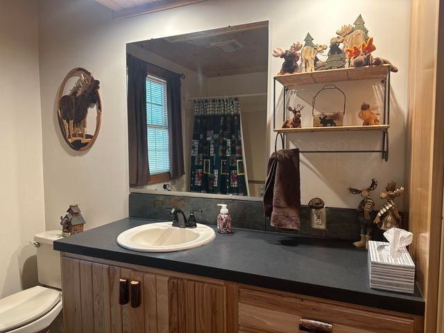 10022 S Rebecca Road, Baldwin, MI 49304