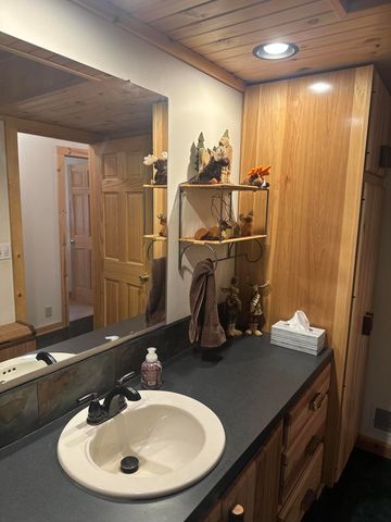 10022 S Rebecca Road, Baldwin, MI 49304