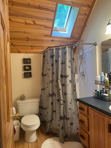 10022 S Rebecca Road, Baldwin, MI 49304