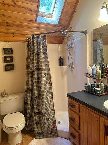 10022 S Rebecca Road, Baldwin, MI 49304