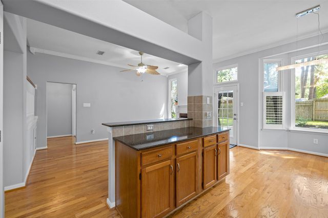 21 Long Hearth Place, The Woodlands, TX 77382
