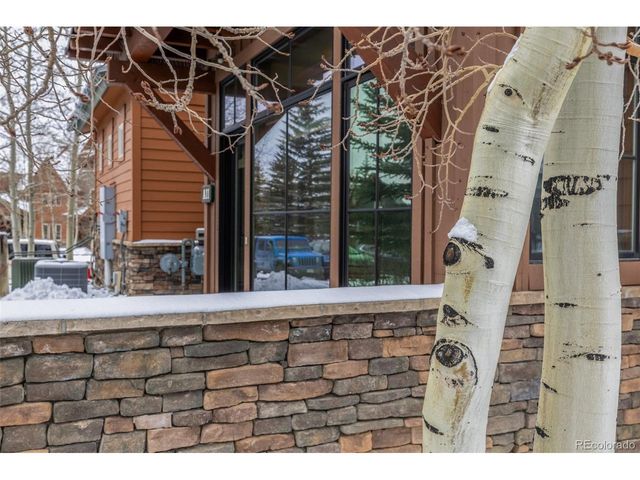 965 N Ten Mile Dr A11, Frisco, CO 80443