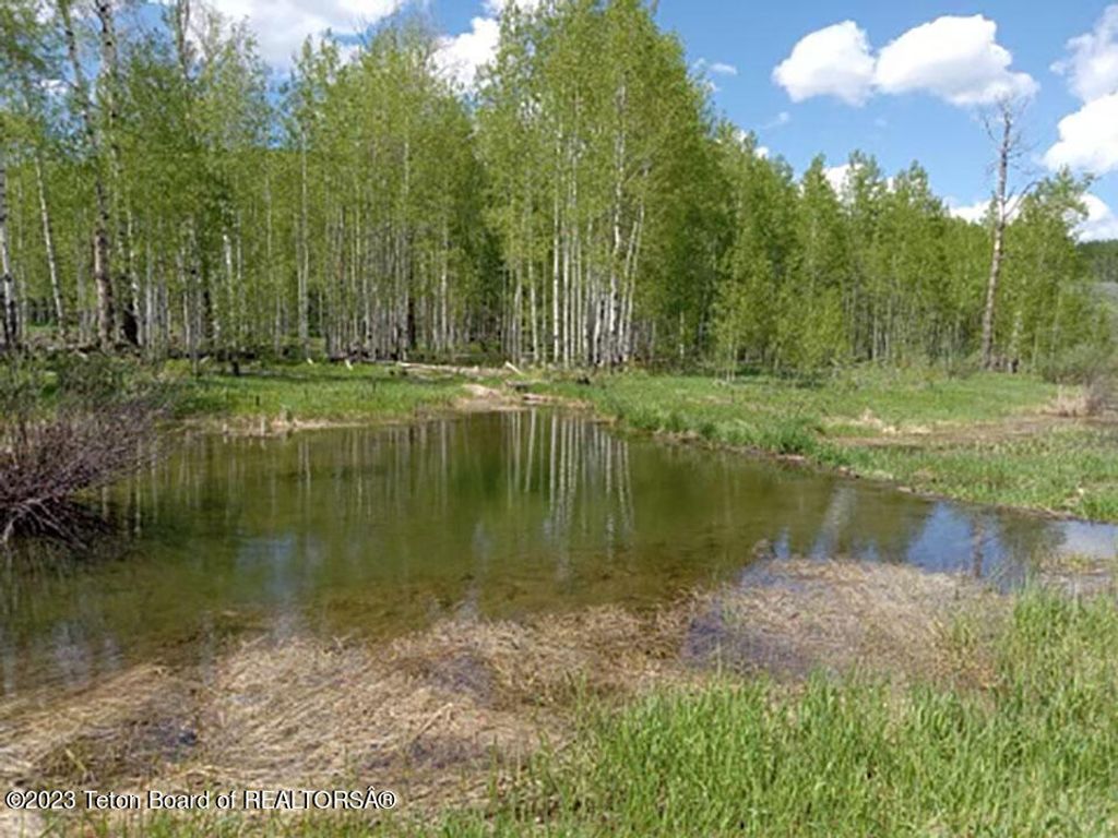 3151 LANES CREEK ROAD, Wayan, ID 83285 photo 20