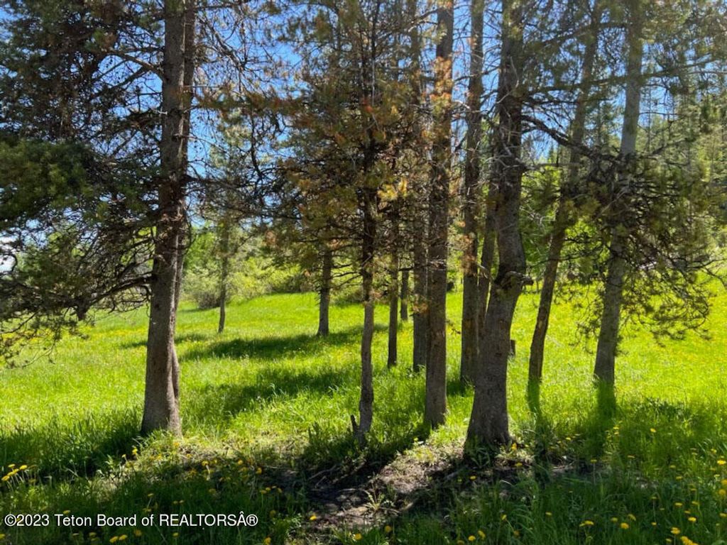 3151 LANES CREEK ROAD, Wayan, ID 83285 photo 22