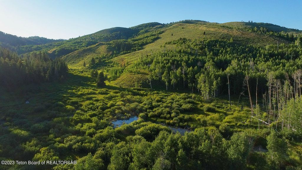 3151 LANES CREEK ROAD, Wayan, ID 83285 photo 23