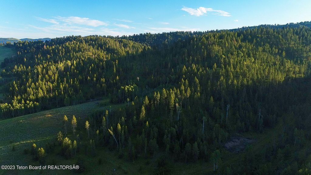 3151 LANES CREEK ROAD, Wayan, ID 83285 photo 33