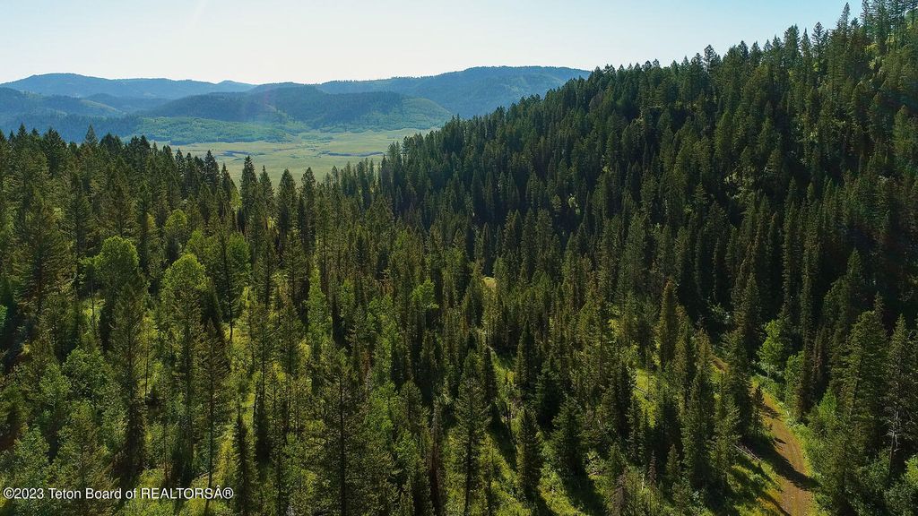 3151 LANES CREEK ROAD, Wayan, ID 83285 photo 41