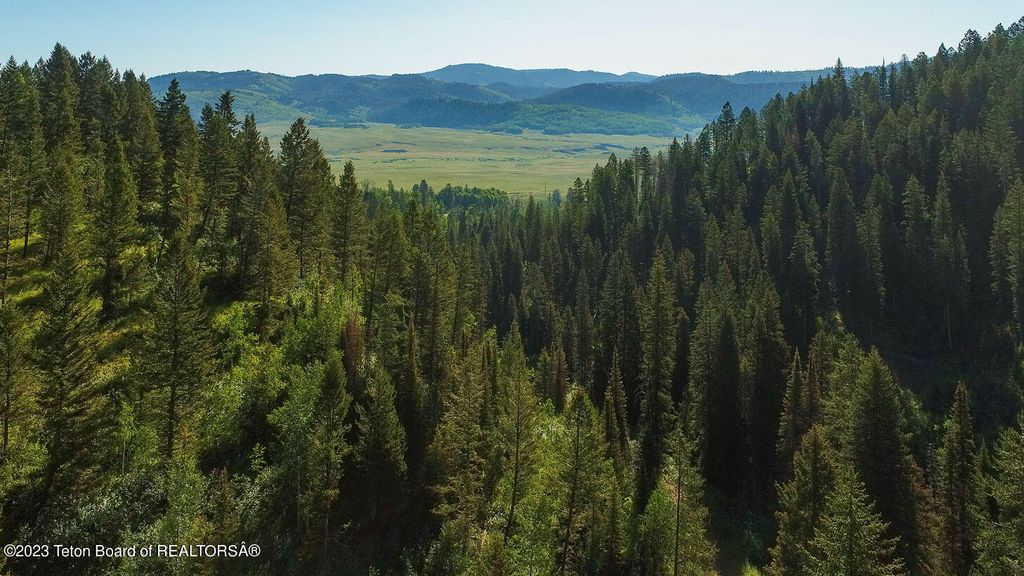 3151 LANES CREEK ROAD, Wayan, ID 83285 photo 42