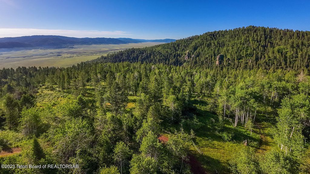 3151 LANES CREEK ROAD, Wayan, ID 83285 photo 49