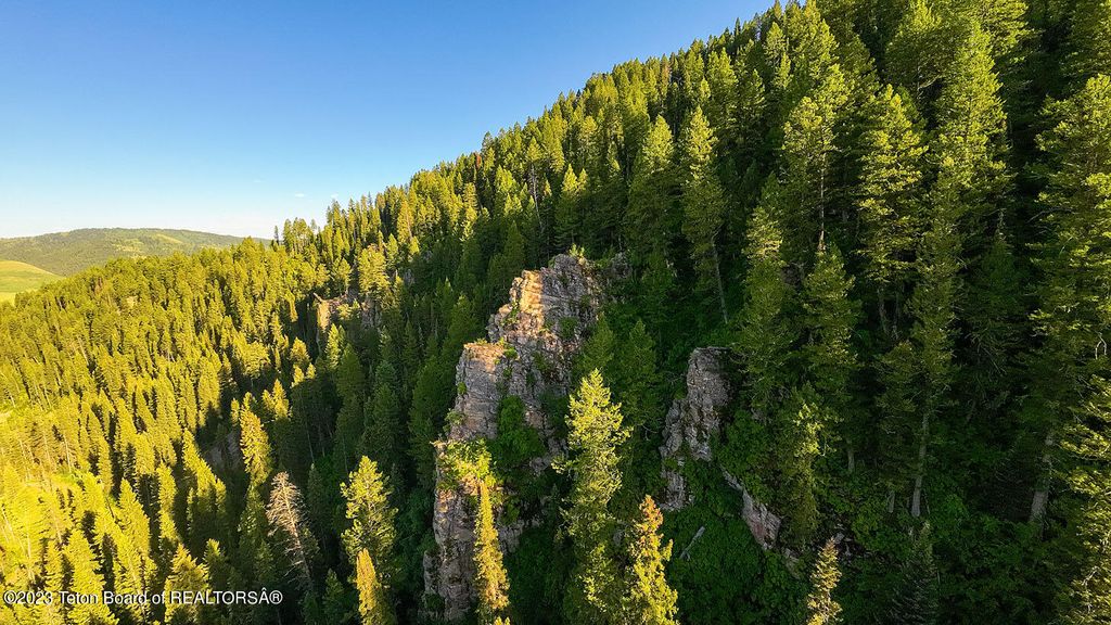 3151 LANES CREEK ROAD, Wayan, ID 83285 photo 51