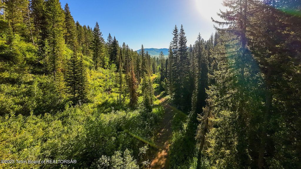 3151 LANES CREEK ROAD, Wayan, ID 83285 photo 54