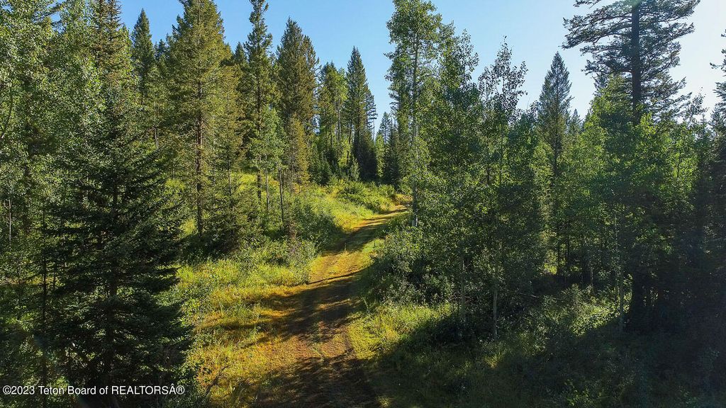 3151 LANES CREEK ROAD, Wayan, ID 83285 photo 55