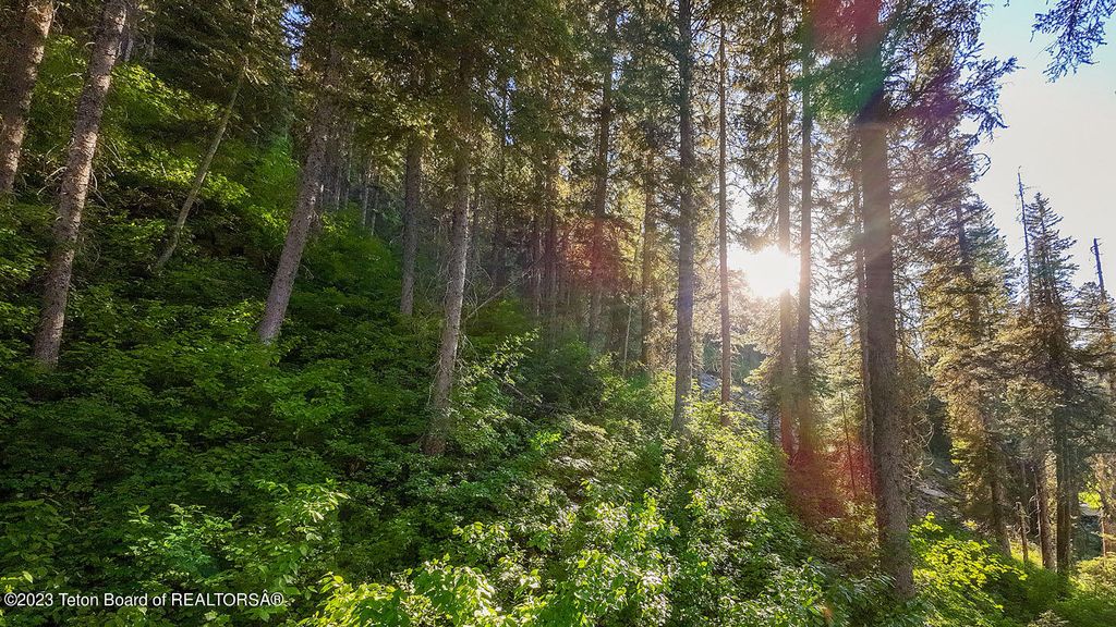 3151 LANES CREEK ROAD, Wayan, ID 83285 photo 57