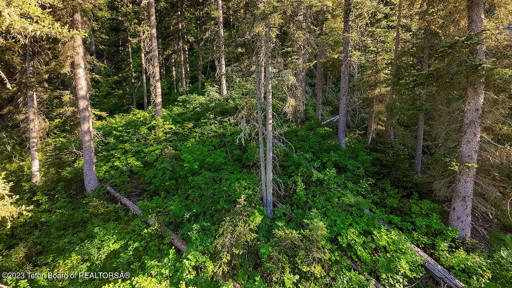 3151 LANES CREEK ROAD, Wayan, ID 83285 photo 58