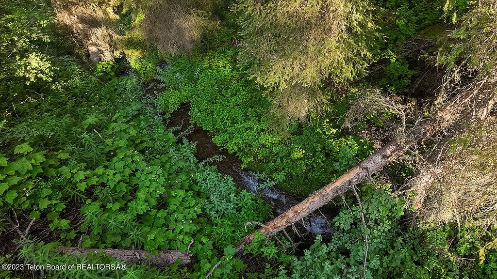 3151 LANES CREEK ROAD, Wayan, ID 83285 photo 59