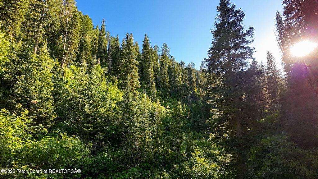 3151 LANES CREEK ROAD, Wayan, ID 83285 photo 61