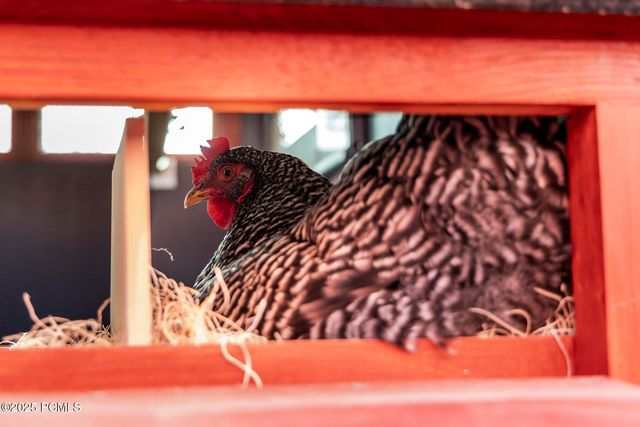 2555 S 3600 West, Charleston, UT 84032