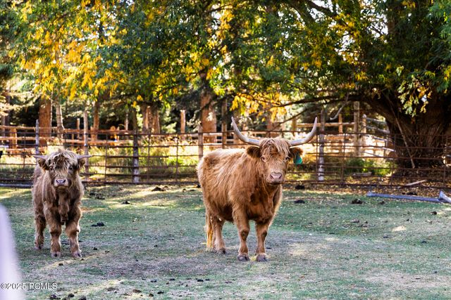 2555 S 3600 West, Charleston, UT 84032