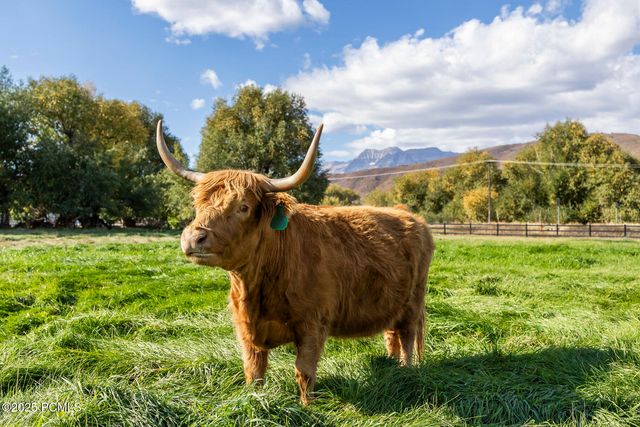 2555 S 3600 West, Charleston, UT 84032