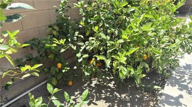 13245 Flagstaff Drive, Rancho Cucamonga, CA 91739