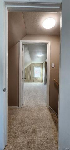 9808 Zykan Drive, St Louis, MO 63114